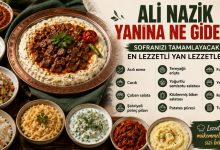 ali nazik